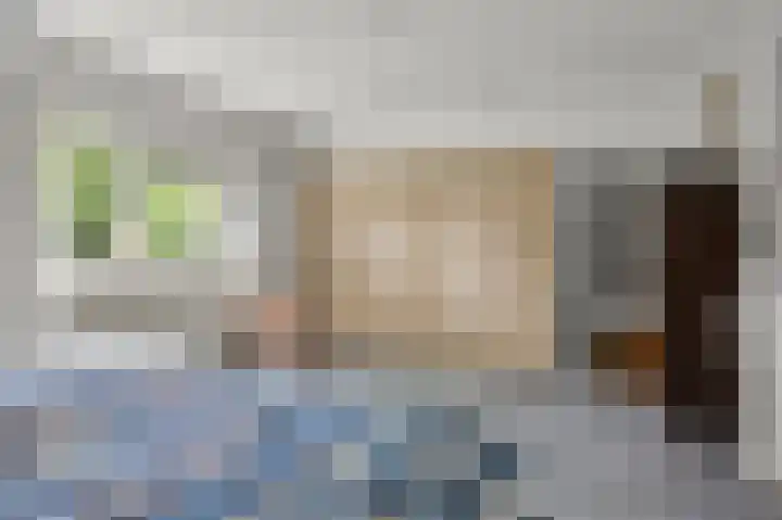 Enkhuizerlaan 6 A Rijs thumbnail 29