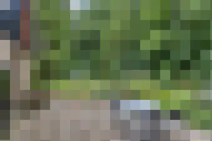 Enkhuizerlaan 6 A Rijs thumbnail 35