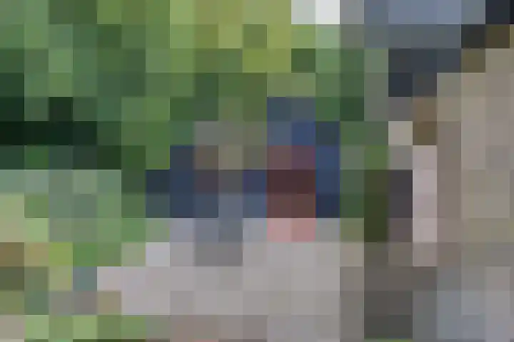 Enkhuizerlaan 6 A Rijs thumbnail 36