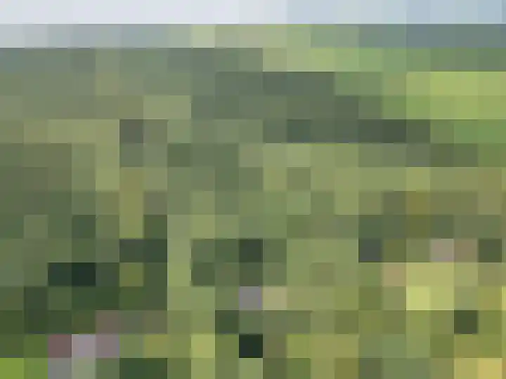 Enkhuizerlaan 6 A Rijs thumbnail 4