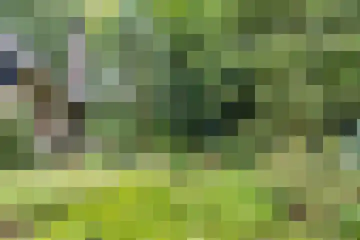 Enkhuizerlaan 6 A Rijs thumbnail 40