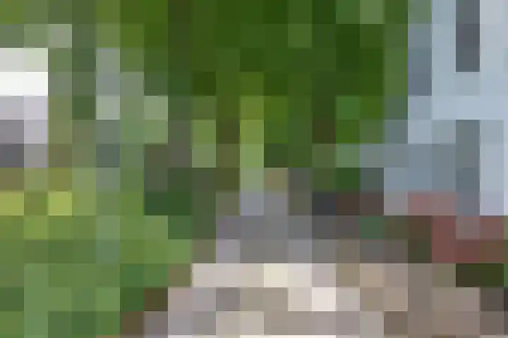 Enkhuizerlaan 6 A Rijs thumbnail 42