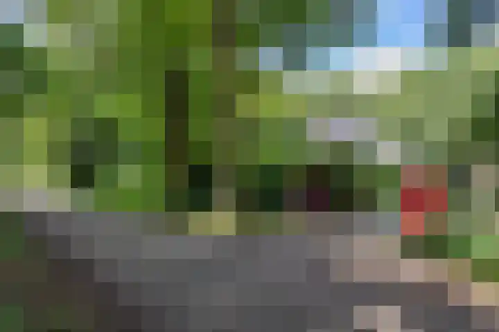 Enkhuizerlaan 6 A Rijs thumbnail 46
