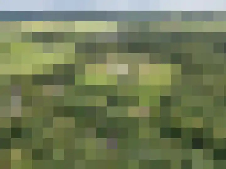 Enkhuizerlaan 6 A Rijs thumbnail 49