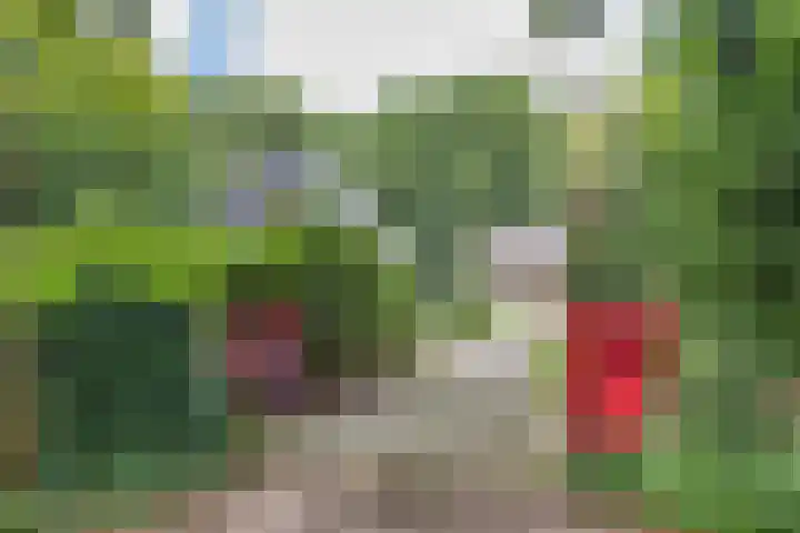 Enkhuizerlaan 6 A Rijs thumbnail 6