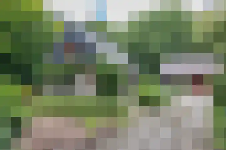 Enkhuizerlaan 6 A Rijs thumbnail 7