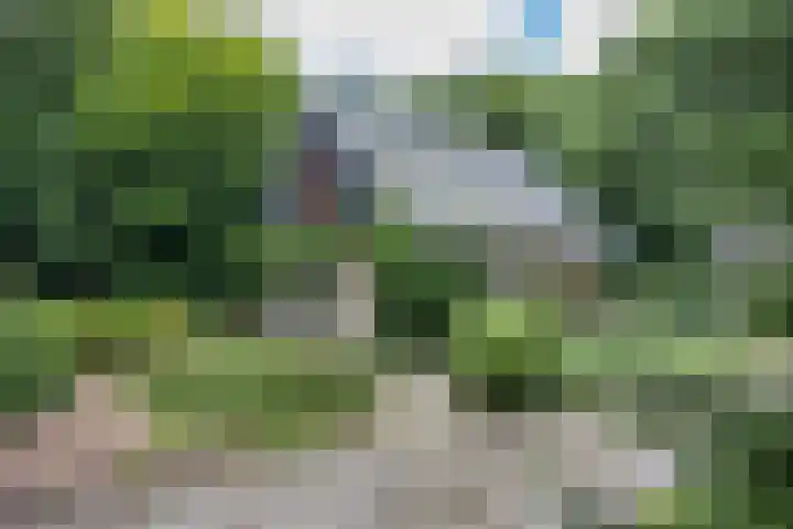 Enkhuizerlaan 6 A Rijs thumbnail 8