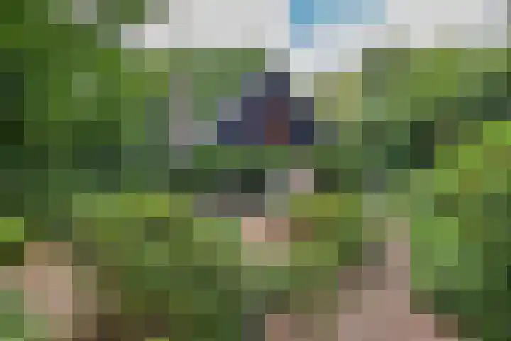 Enkhuizerlaan 6 A Rijs thumbnail 9