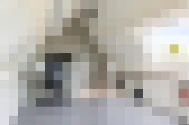 Enkhuizerweg 45 Zeewolde thumbnail 39