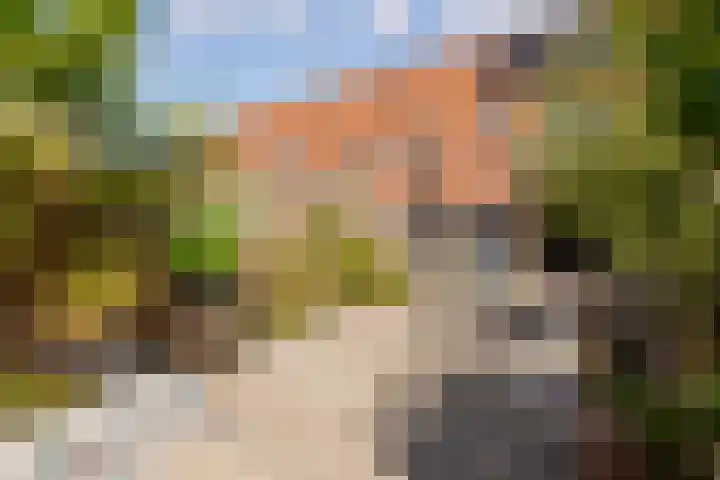 Enkhuizerweg 45 Zeewolde thumbnail 41