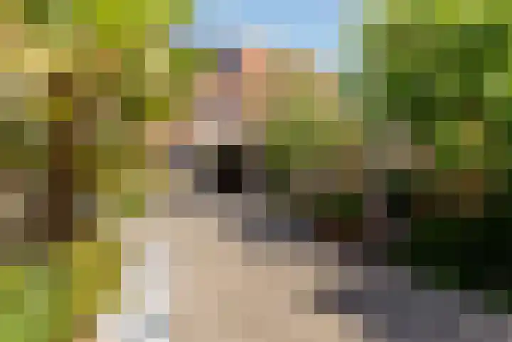 Enkhuizerweg 45 Zeewolde thumbnail 42