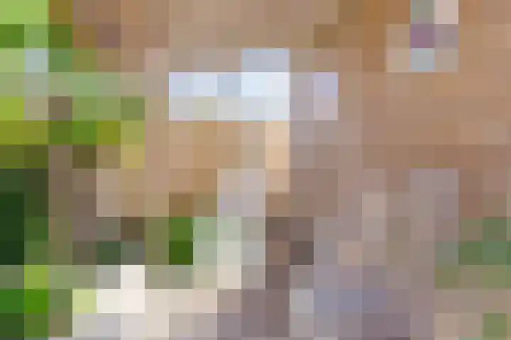 Enkhuizerweg 45 Zeewolde thumbnail 48