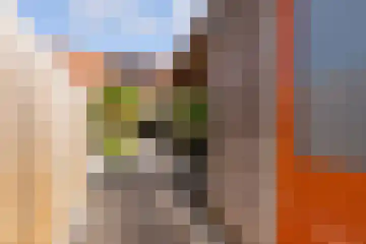 Enkhuizerweg 45 Zeewolde thumbnail 50