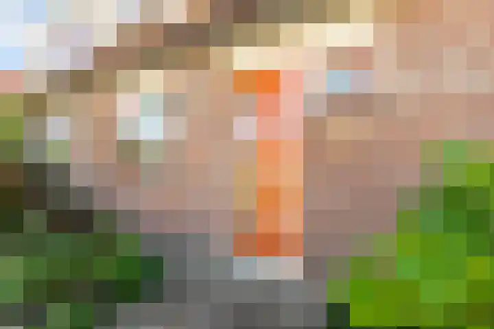 Enkhuizerweg 45 Zeewolde thumbnail 54