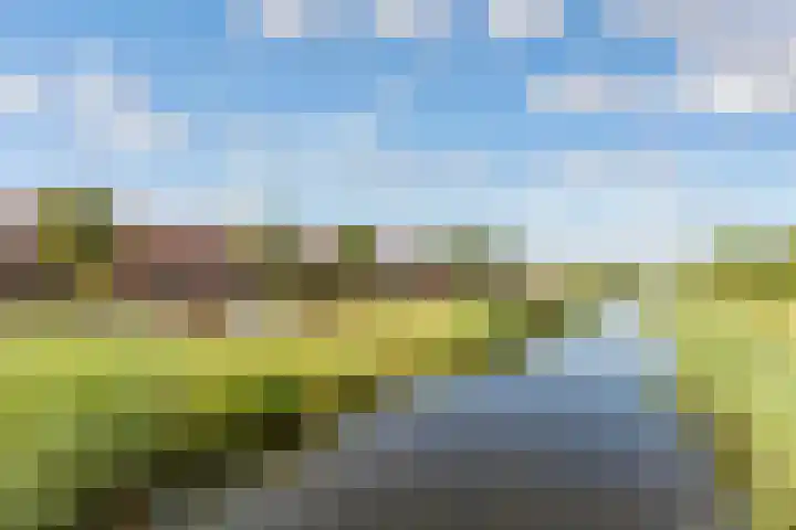 Enkhuizerweg 45 Zeewolde thumbnail 60