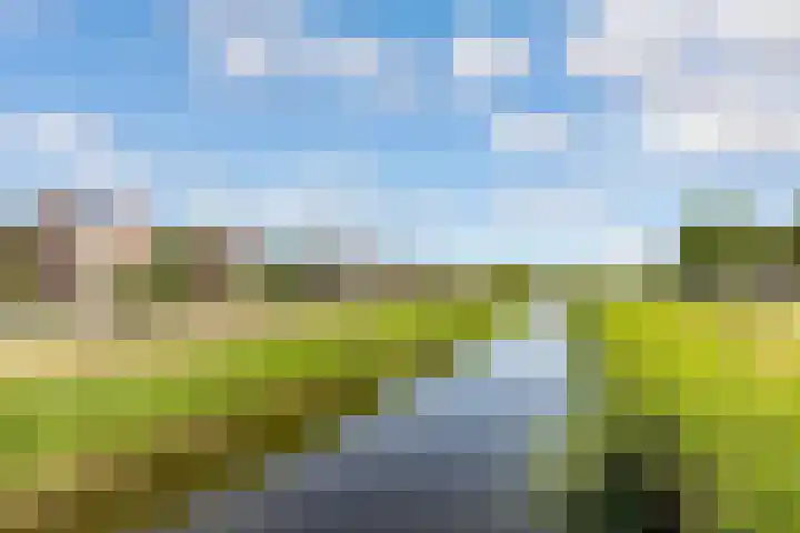 Enkhuizerweg 45 Zeewolde thumbnail 61