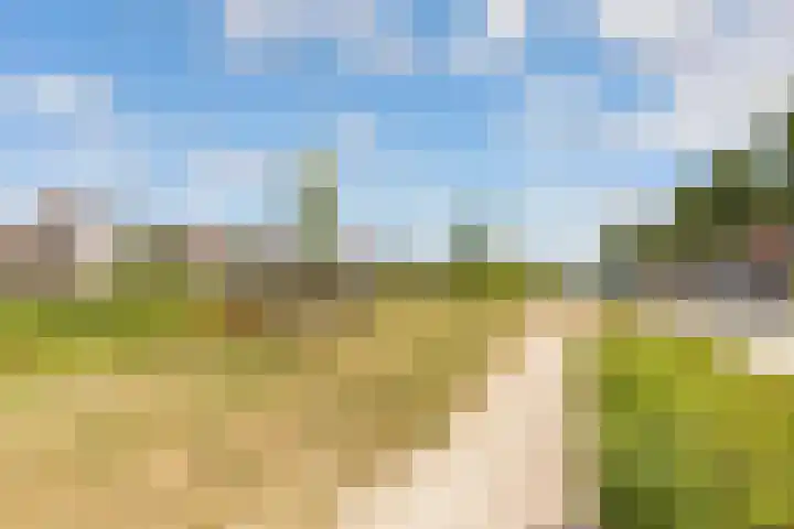 Enkhuizerweg 45 Zeewolde thumbnail 65