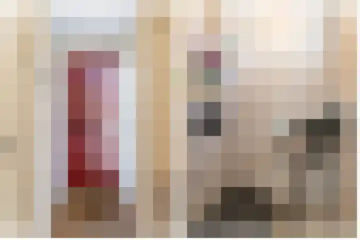 Enkhuizerweg 45 Zeewolde thumbnail 7