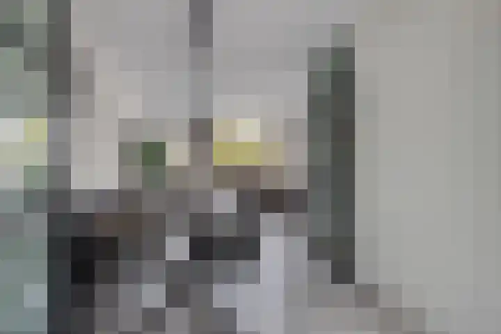 Enkhuizerzand 5 Huizen thumbnail 6