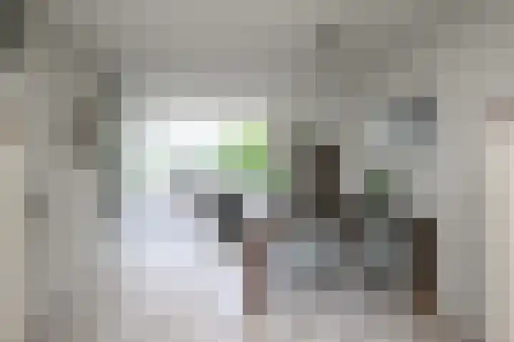 Enkhuizerzand 51 Huizen thumbnail 11