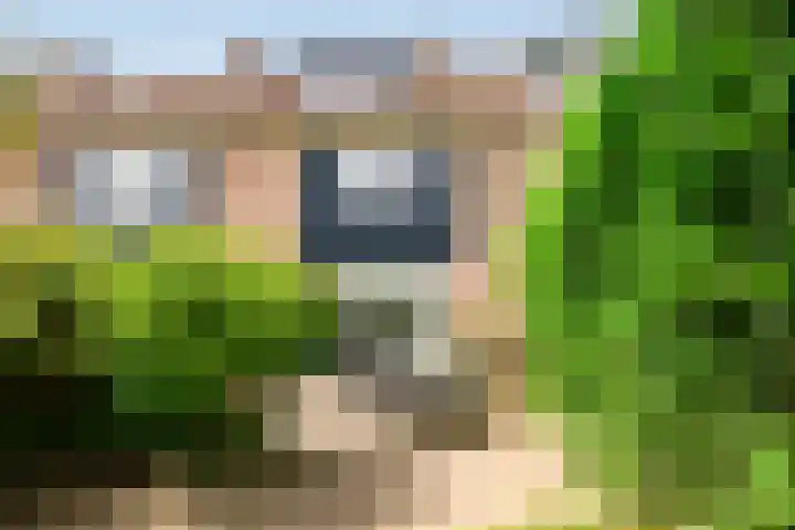 Enkhuizerzand 51 Huizen thumbnail 17
