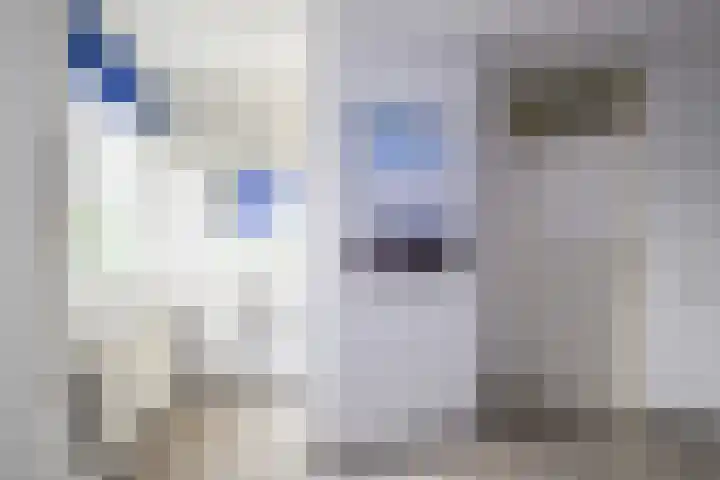 Enkhuizerzand 51 Huizen thumbnail 29