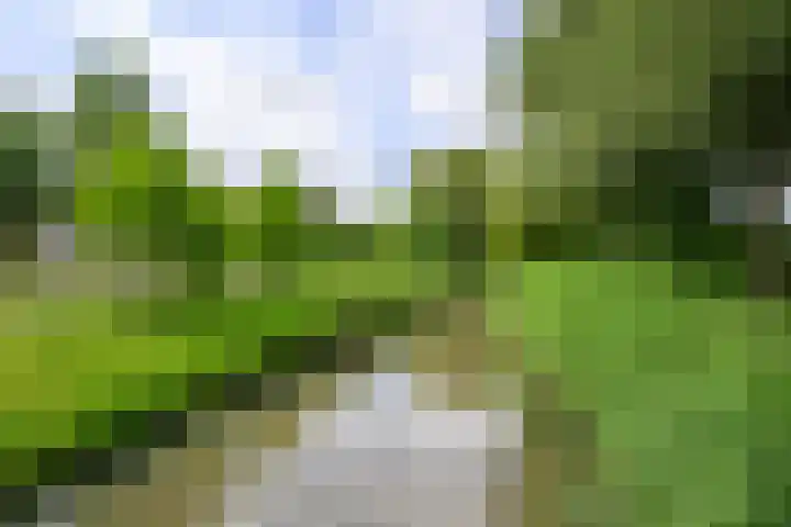 Enkhuizerzand 51 Huizen thumbnail 37