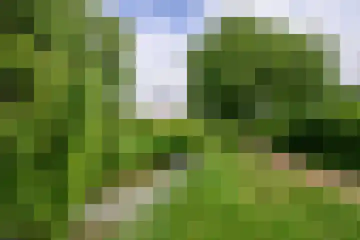 Enkhuizerzand 51 Huizen thumbnail 4