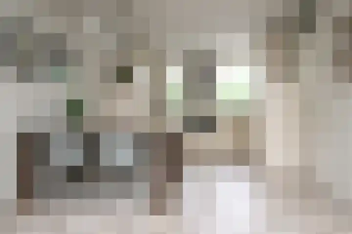 Enkhuizerzand 51 Huizen thumbnail 9