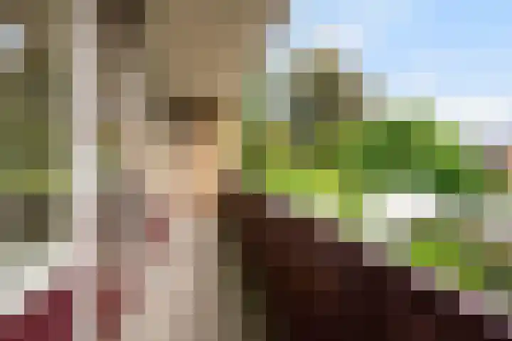 Enklaan 20 Bathmen thumbnail 18