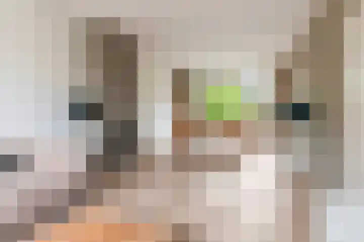 Enklaan 20 Bathmen thumbnail 5