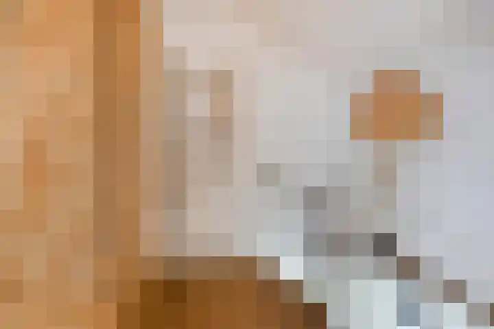 Enklaan 31 Bathmen thumbnail 30