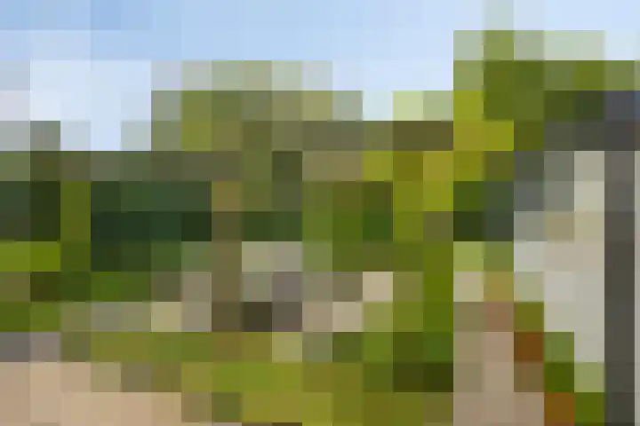 Enklaan 31 Bathmen thumbnail 34