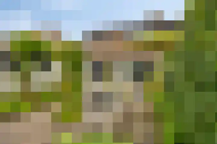Enklaan 31 Bathmen thumbnail 35