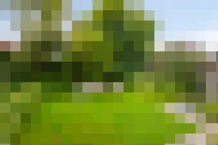 Enklaan 31 Bathmen thumbnail 36
