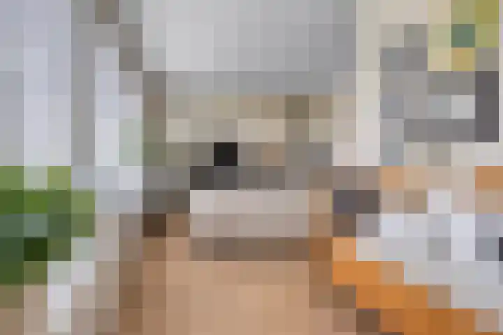 Enklaan 31 Bathmen thumbnail 9