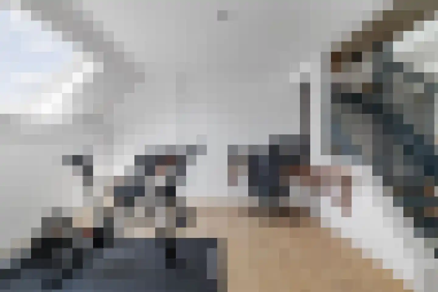 Enkpad 2 Voorst thumbnail 28