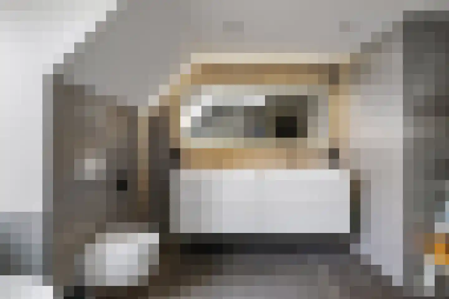 Enkpad 2 Voorst thumbnail 38