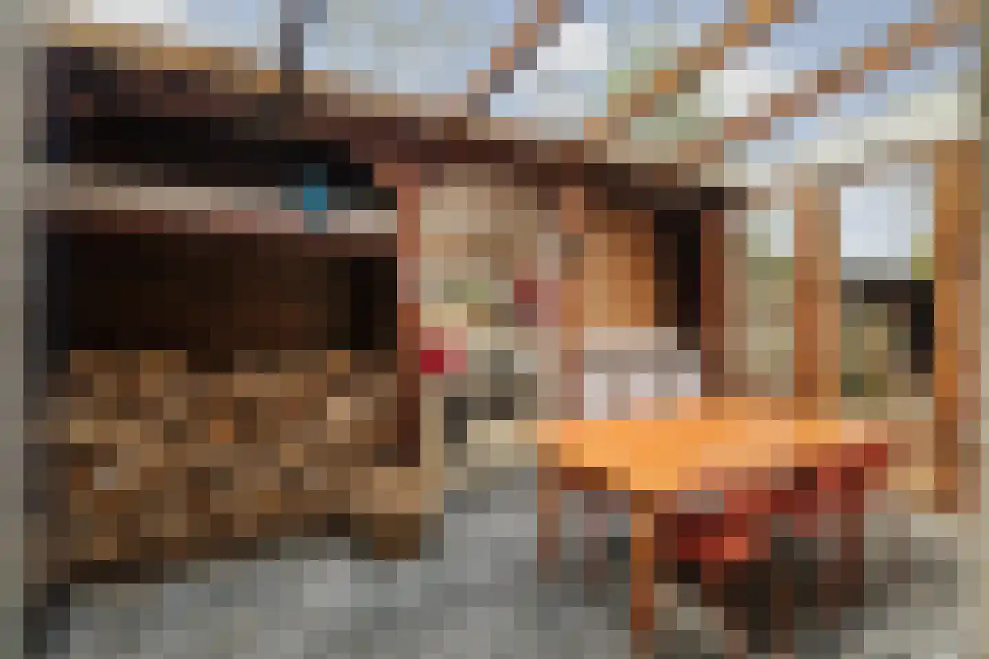 Enkpad 2 Voorst thumbnail 39