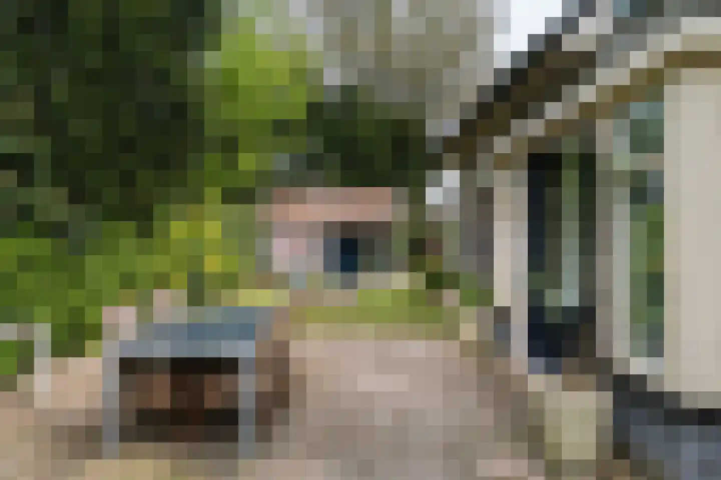 Enkpad 2 Voorst thumbnail 41