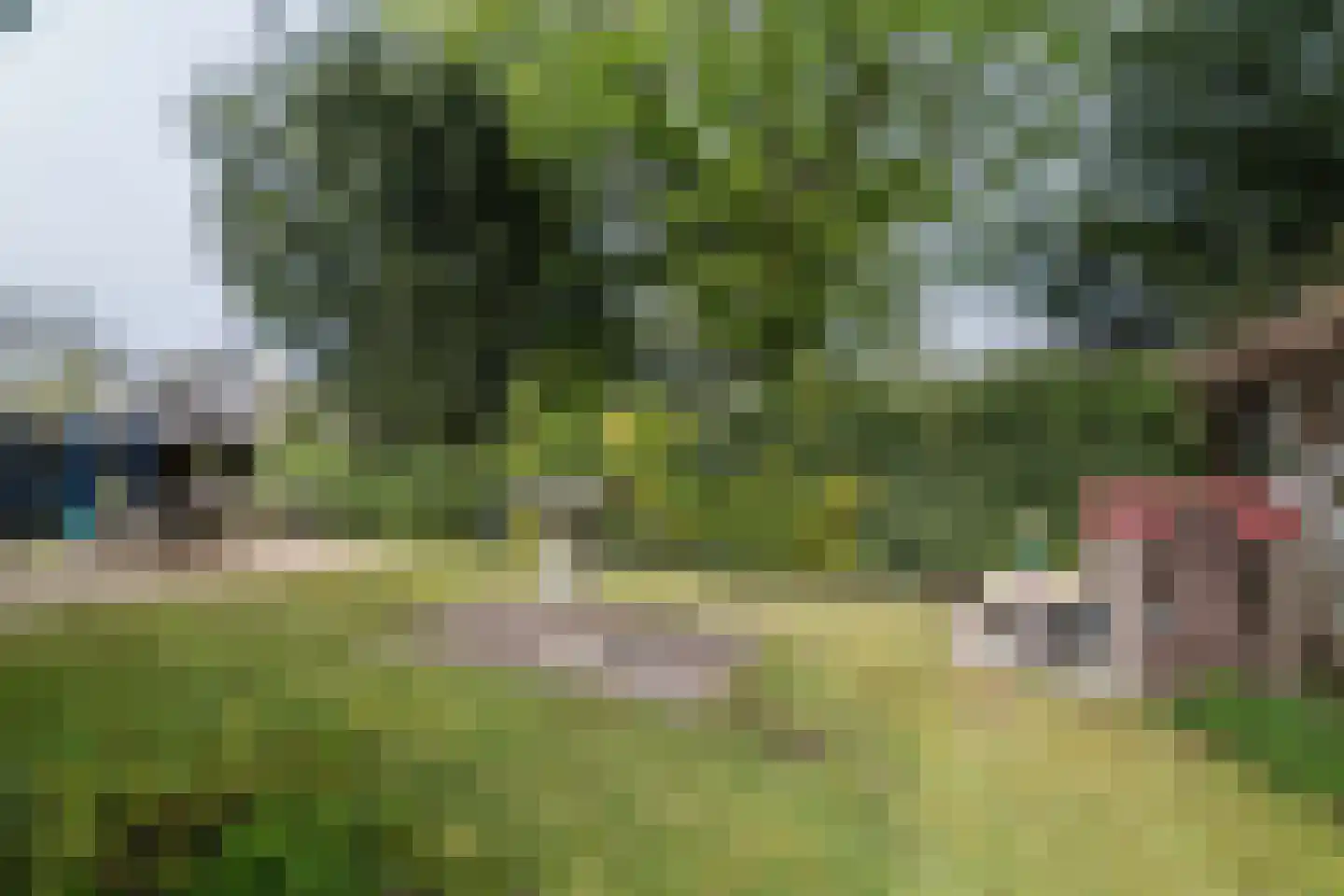 Enkpad 2 Voorst thumbnail 43