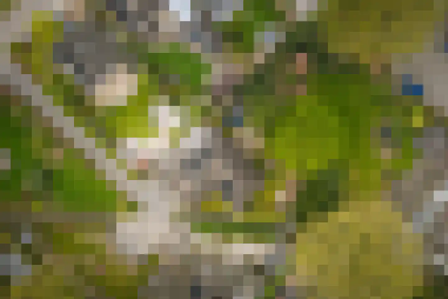 Enkpad 2 Voorst thumbnail 47