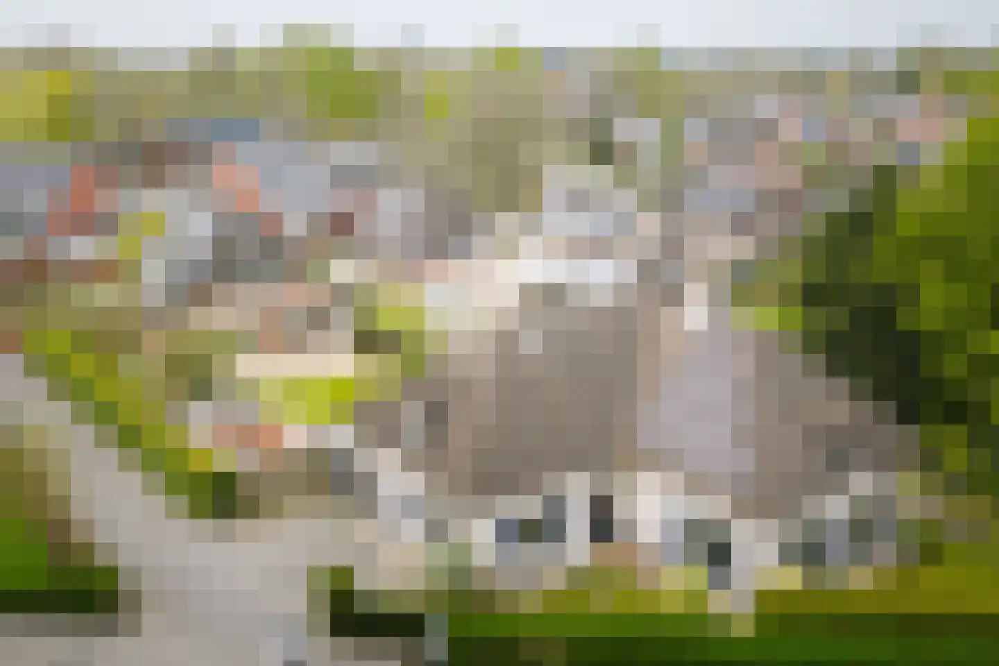 Enkpad 2 Voorst thumbnail 48
