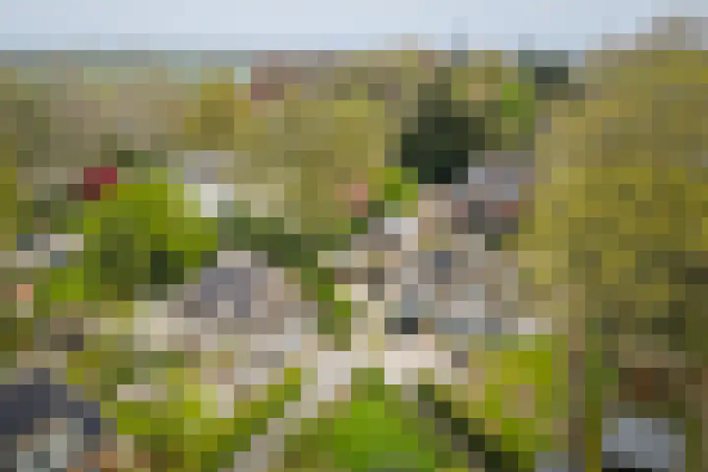 Enkpad 2 Voorst thumbnail 50