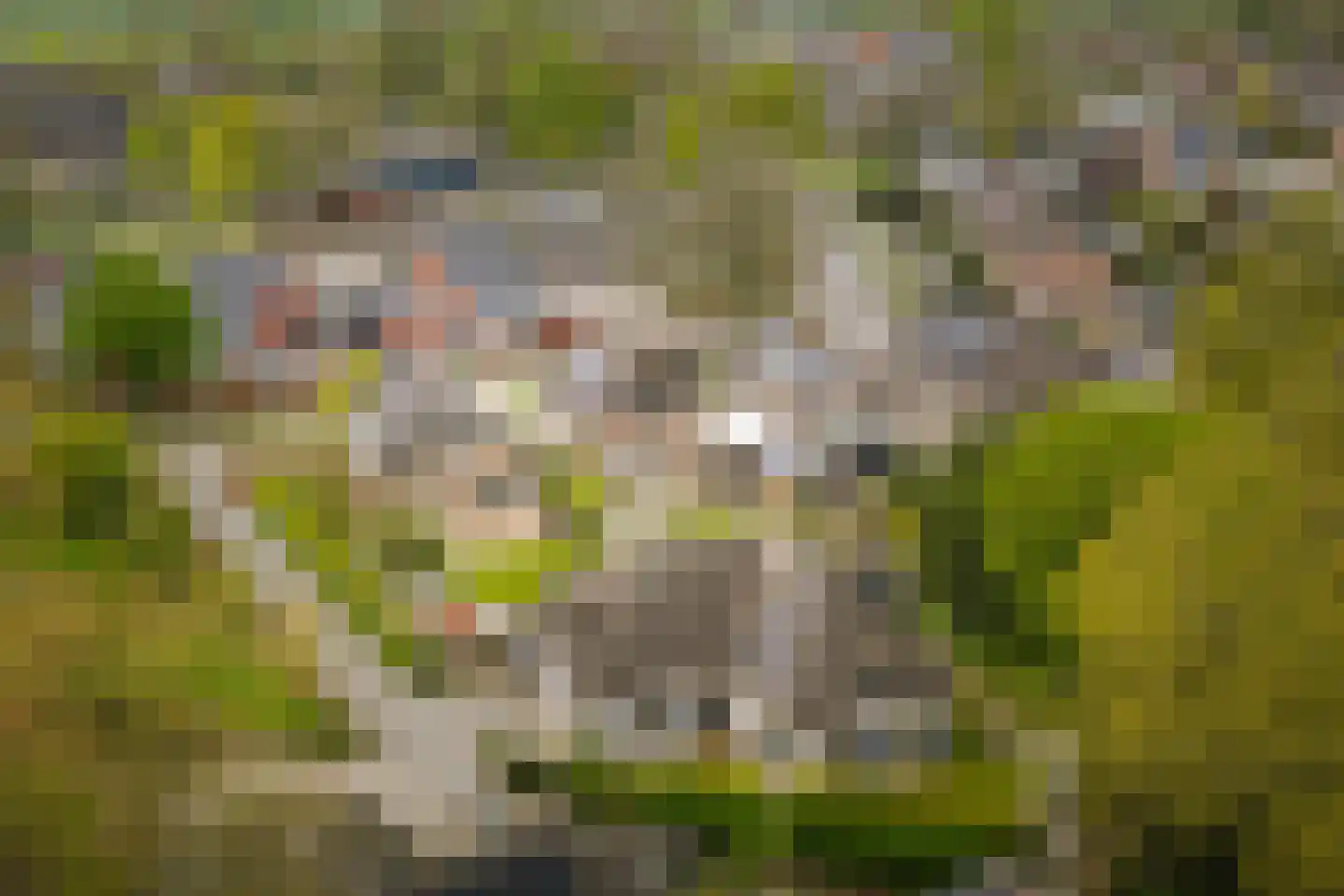 Enkpad 2 Voorst thumbnail 6