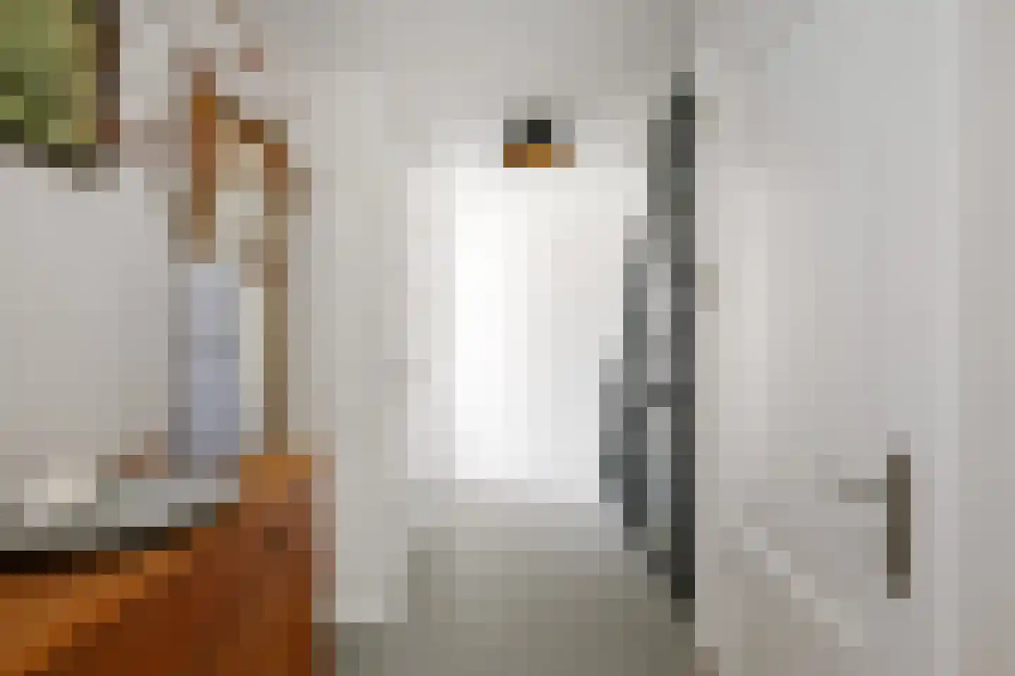 Enkpad 2 Voorst thumbnail 8