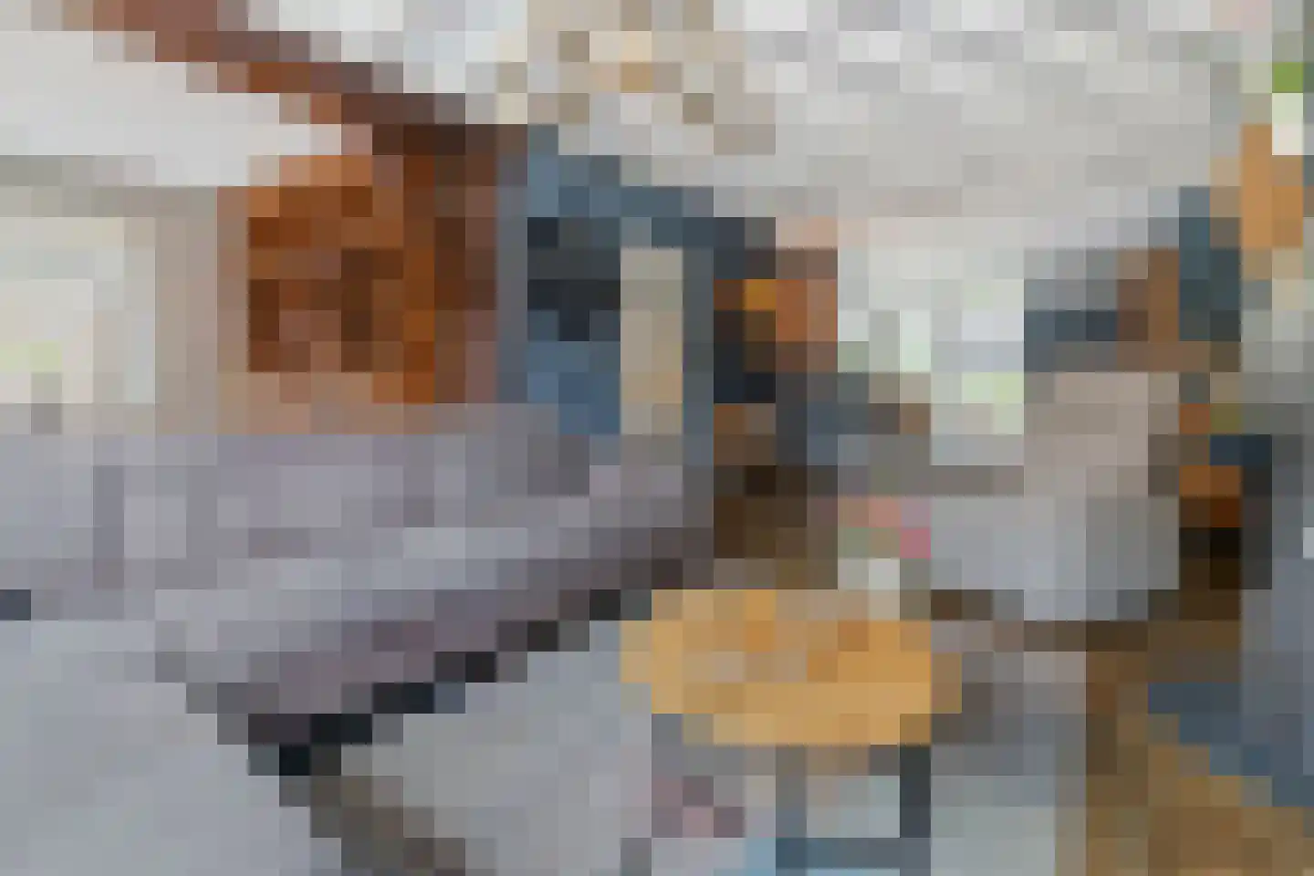 Enkstraat 113 Raalte thumbnail 11