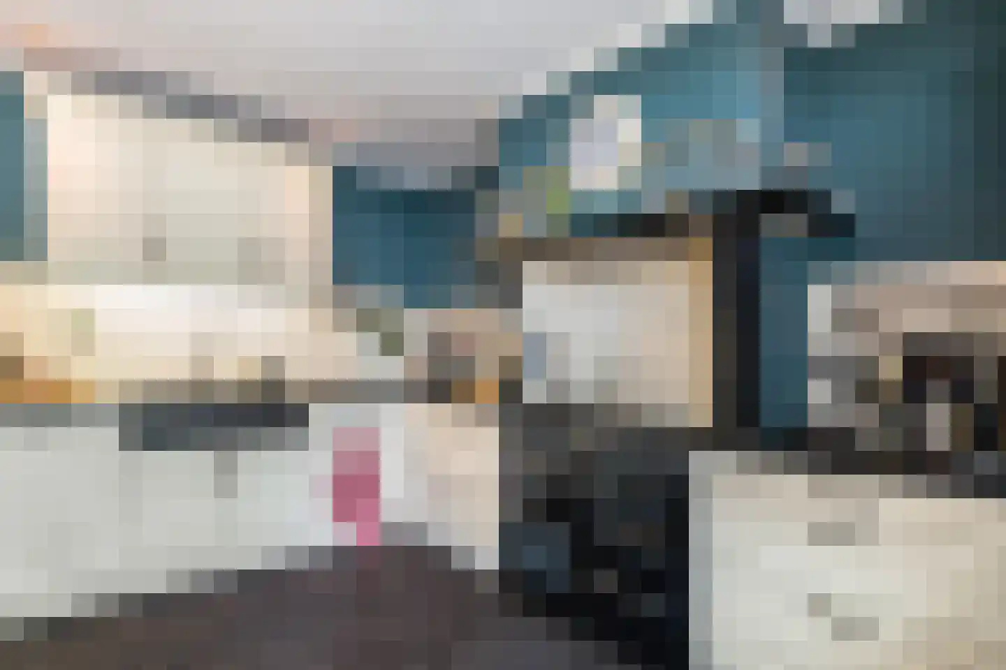 Enkstraat 113 Raalte thumbnail 14