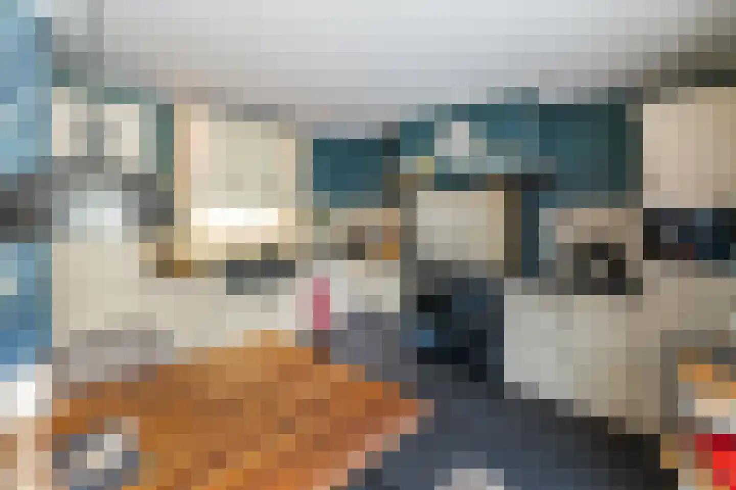 Enkstraat 113 Raalte thumbnail 16