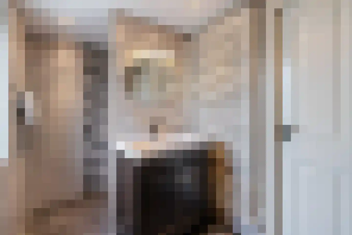 Enkstraat 113 Raalte thumbnail 27